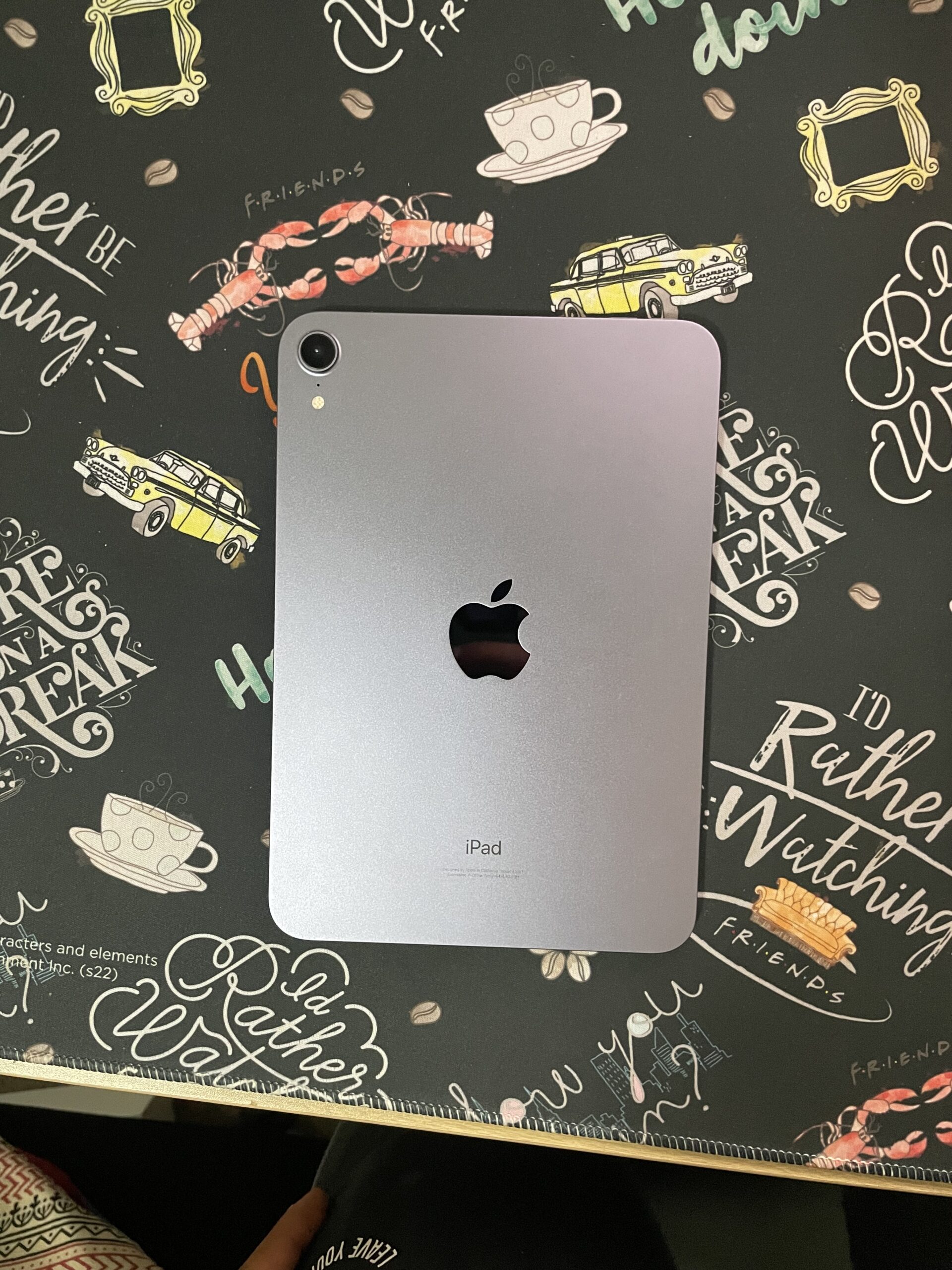 iPad Mini